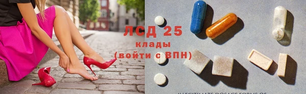 ПСИЛОЦИБИНОВЫЕ ГРИБЫ Лихославль