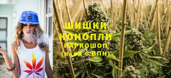 ПСИЛОЦИБИНОВЫЕ ГРИБЫ Лихославль