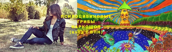 прущий лед Магас